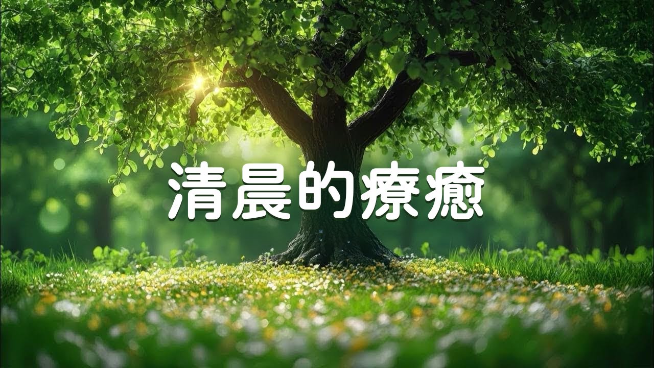 (Без рекламы) Утренняя целебная музыка — расслабление тела и разума, медитация, снятие стресса,учёба