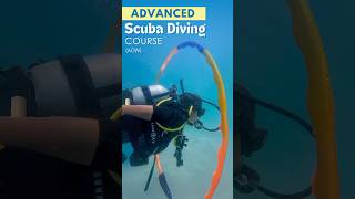 自由潜水训练视频解析：Advanced Open Water Course- Scuba Diving Certification | Learn Diving, India (PADI)