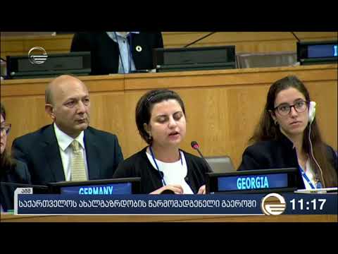 საქართველოს ახალგაზრდობის წარმომადგენელი გაეროში