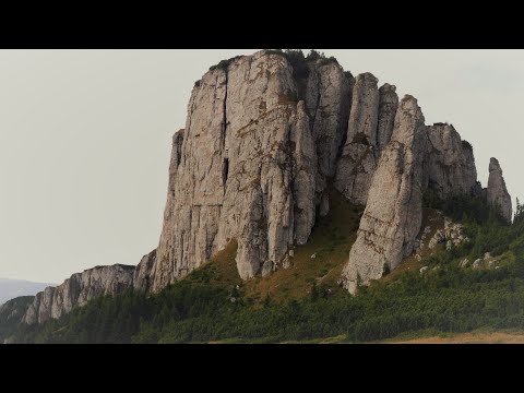 Video: Parcul Național Nechkinsky: descriere, caracteristici, fapte interesante, faună și fauna sălbatică