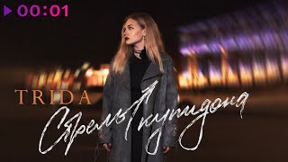 TRIDA - Стрелы Купидона | Official Audio | 2023