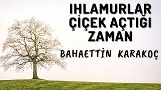 Bahaettin Karakoç | Ihlamurlar Çiçek Açtığı Zaman | Cemal Safi Sesiyle Şiir Dinle Resimi