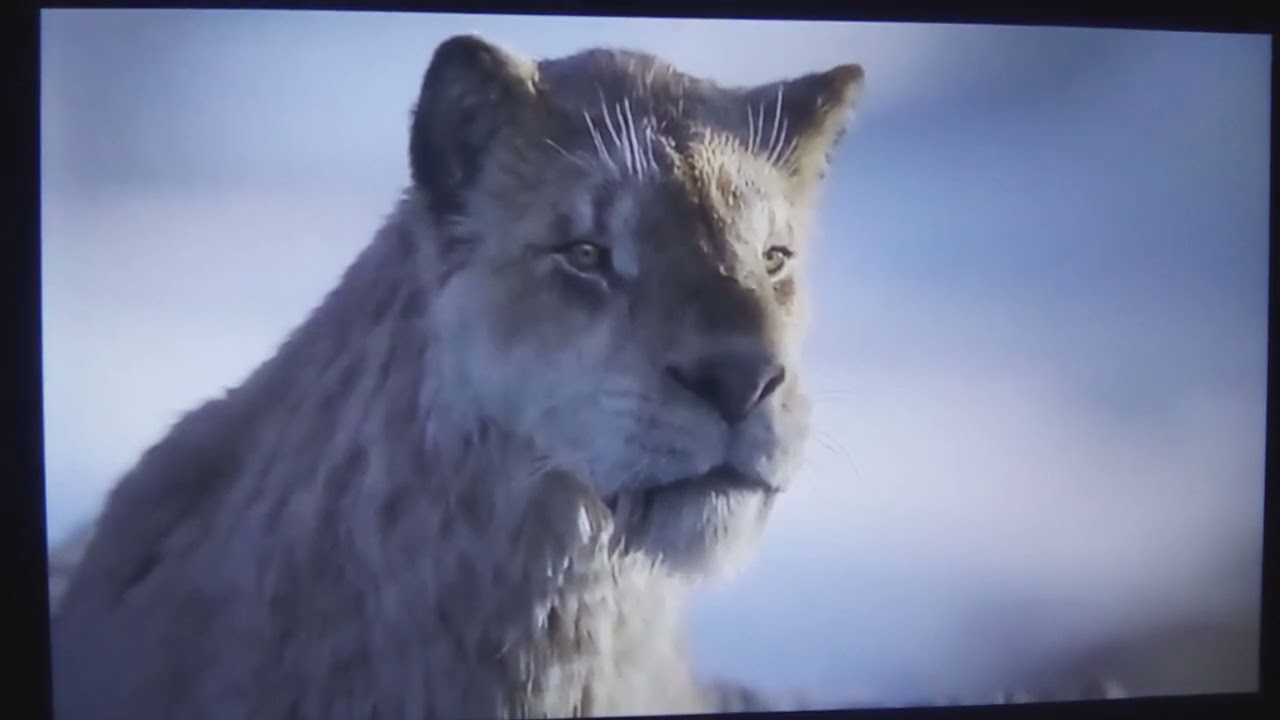 Double Tooth The Smilodon With Gabrielle Union Voice 