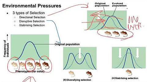 7.1 and 7.2 natural selection
