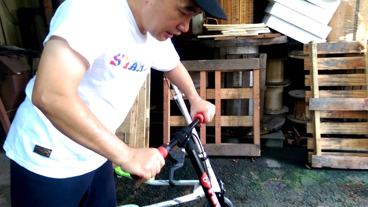 Tig 啟思大型蛙式滑板車蛙式車健身車踏步機大蛙龍行車搖擺車fliker Air3 Yahoo奇摩拍賣