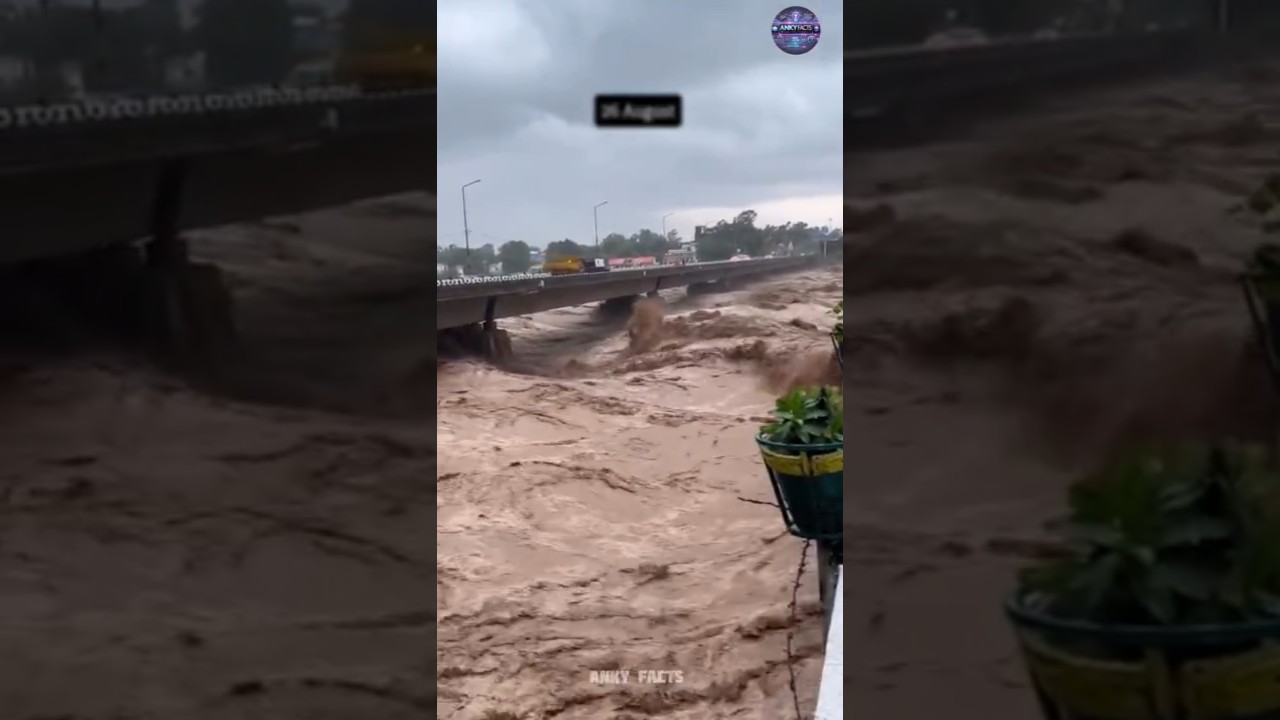 Punjab Flood Explain In Hindi | Punjab India Flood | Flood | 