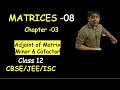 Class 12 Chapter 03 I Matrices 08 | Minor Cofactor and Adjoint of matrix | CBSE/JEE/ISC