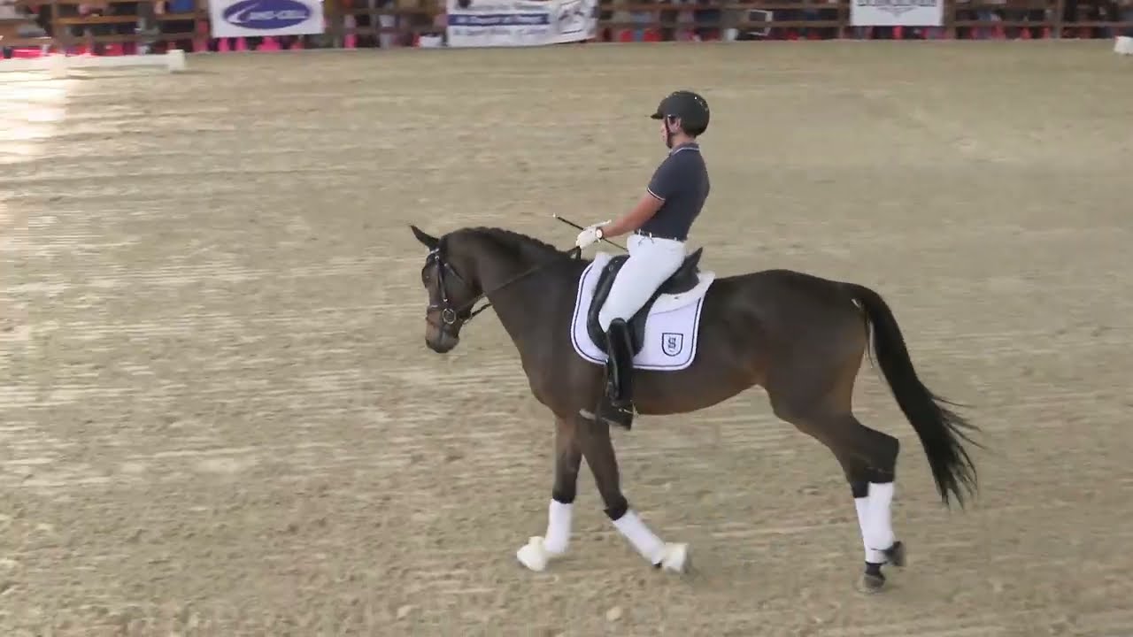 Equita'Lyon 2023 : Clinic Dressage Monica Theodorescu
