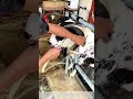 Securing the Livestock: Bathing Sheep with Custom-Built Holding Tools