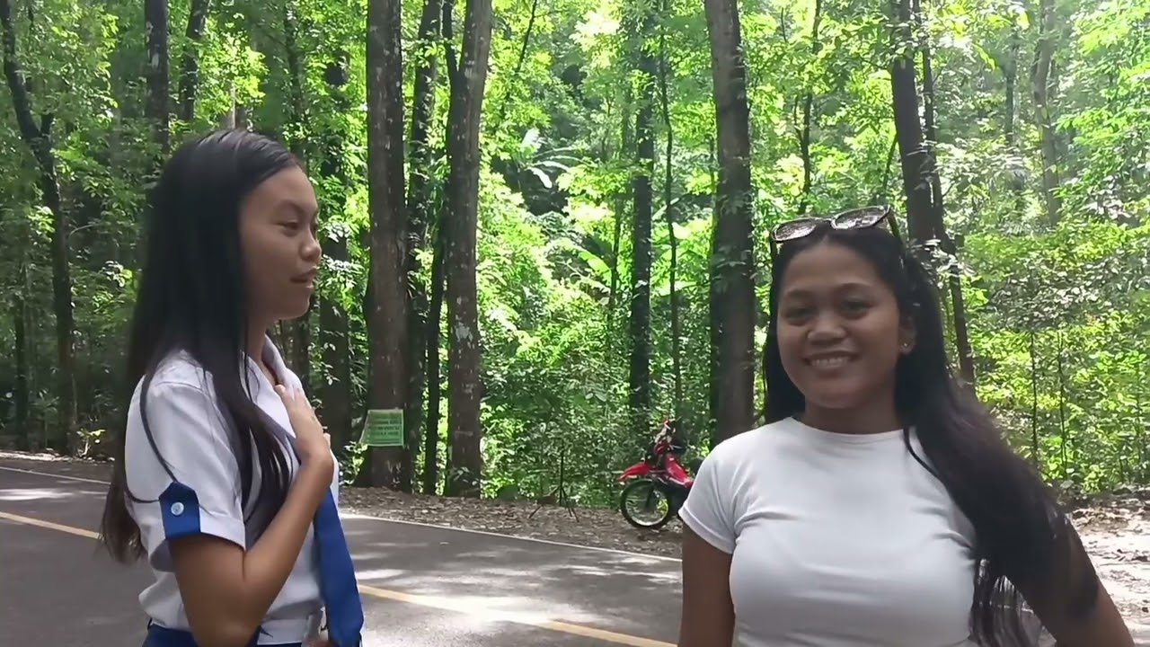 A promotional video of the Bilar Mann-Made Forest in Bohol, Philippines.