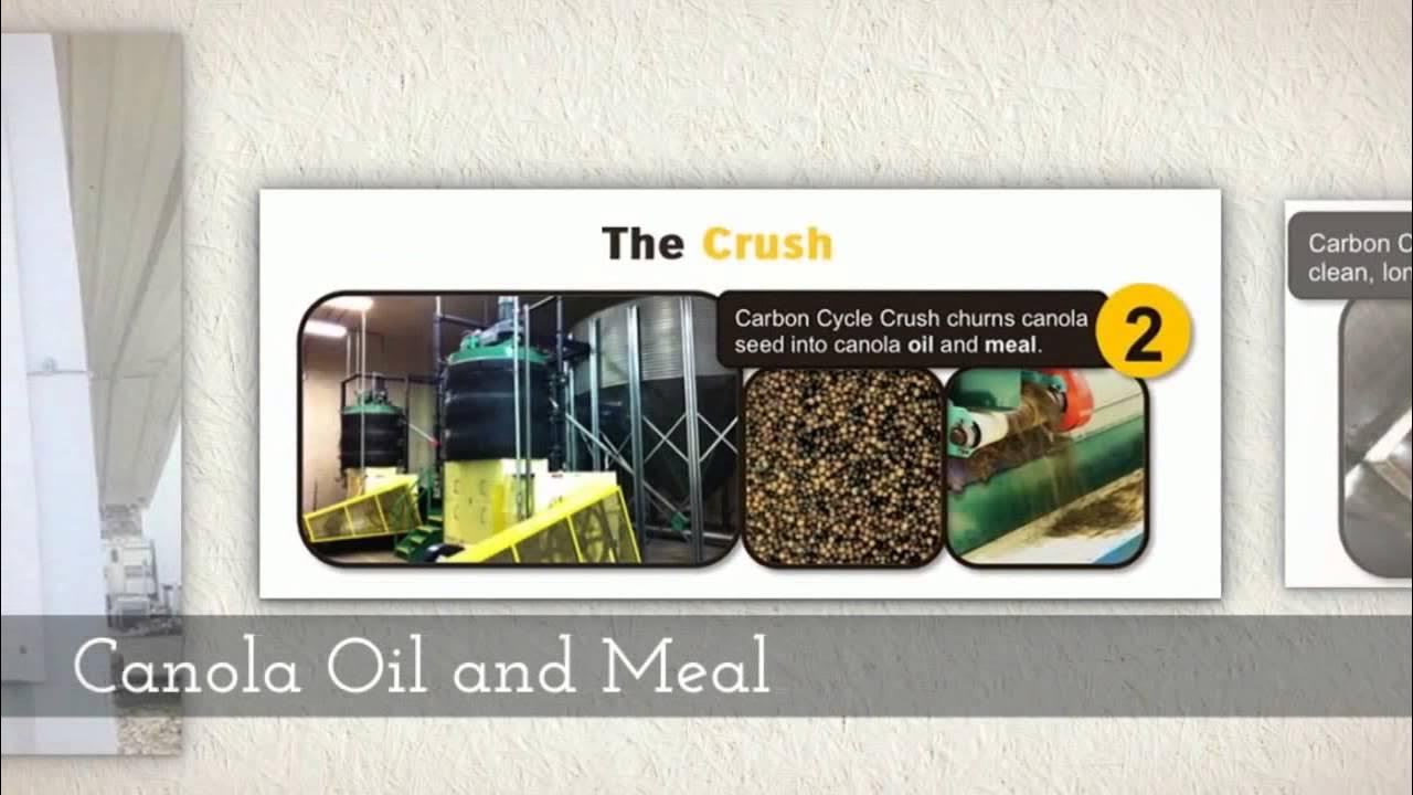 Canola Oil Lubricant Call Us 1(509) 2423036