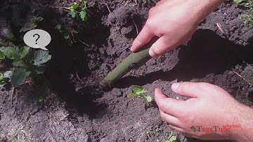 Gp-pointer реальный тест в земле! Китайский пин.