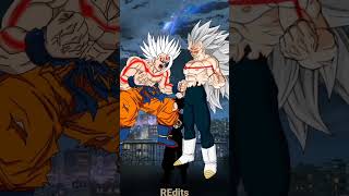 Who Is Stronger Omni King Goku Vs Omni King Vageta