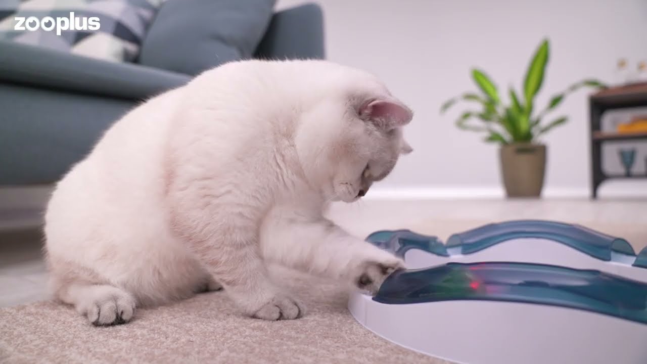 Circuit de jeu Senses Speed pour chat Cat'It