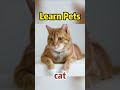 Learn Pets Names 🐶🐱🐹 Learn to Talk for Babies & Toddlers
