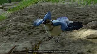 Talk to Topaz and get his items from his bird nest for Free by using this special Bard option
I show you how you can speak to topaz as a bard and he will sing and let you take the key and stuff from nest in Baldurs Gate 3 Talk to Topaz and get his items from his bird nest for Free by using this special Bard option