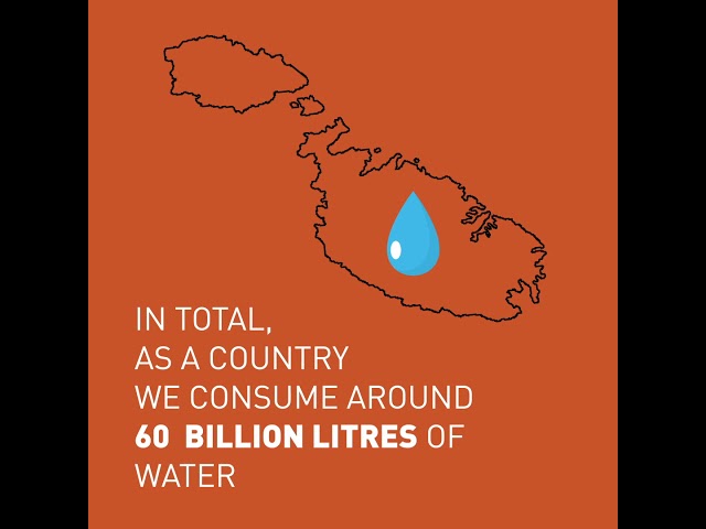 How much water do we consume?