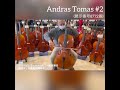 【売約済】チェロ Andras Tomas #2 4/4 2018年製 新品(展示番号8722番)
