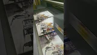 uv flatbed wood printing