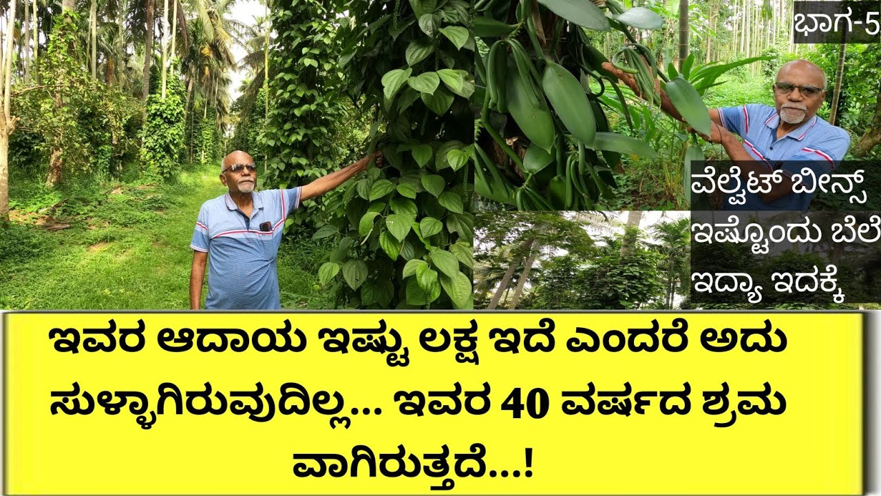 ಕಡಿಮೆ ಭೂಮಿ ಇದೆ ಎಂದು ಕೊರಗಬೇಡಿ 2 ಎಕರೆಯಲ್ಲೇ ಹಸಿರಿನ ಸಿರಿ ಹಾಗೂ ಒಳ್ಳೆಯ ಆದಾಯ ನೋಡಬಹುದು ರೈತರು ಕೂಡ ಕಾರಿನಲ್ಲಿ