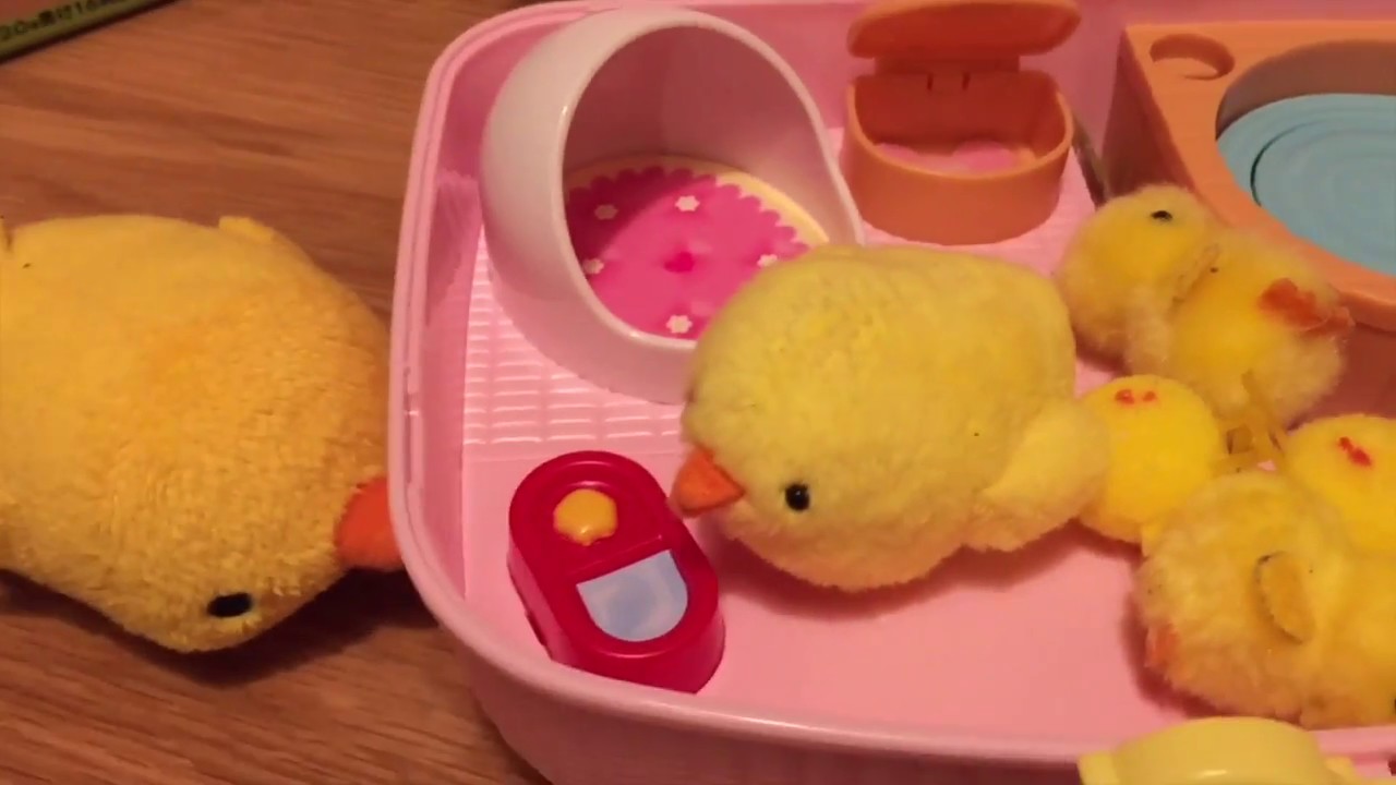 カワイイ❤️ひよこちゃんハウス トイザらス限定 - YouTube