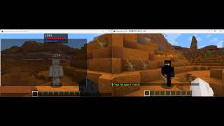 Minecraft Custom NameTag Plugin