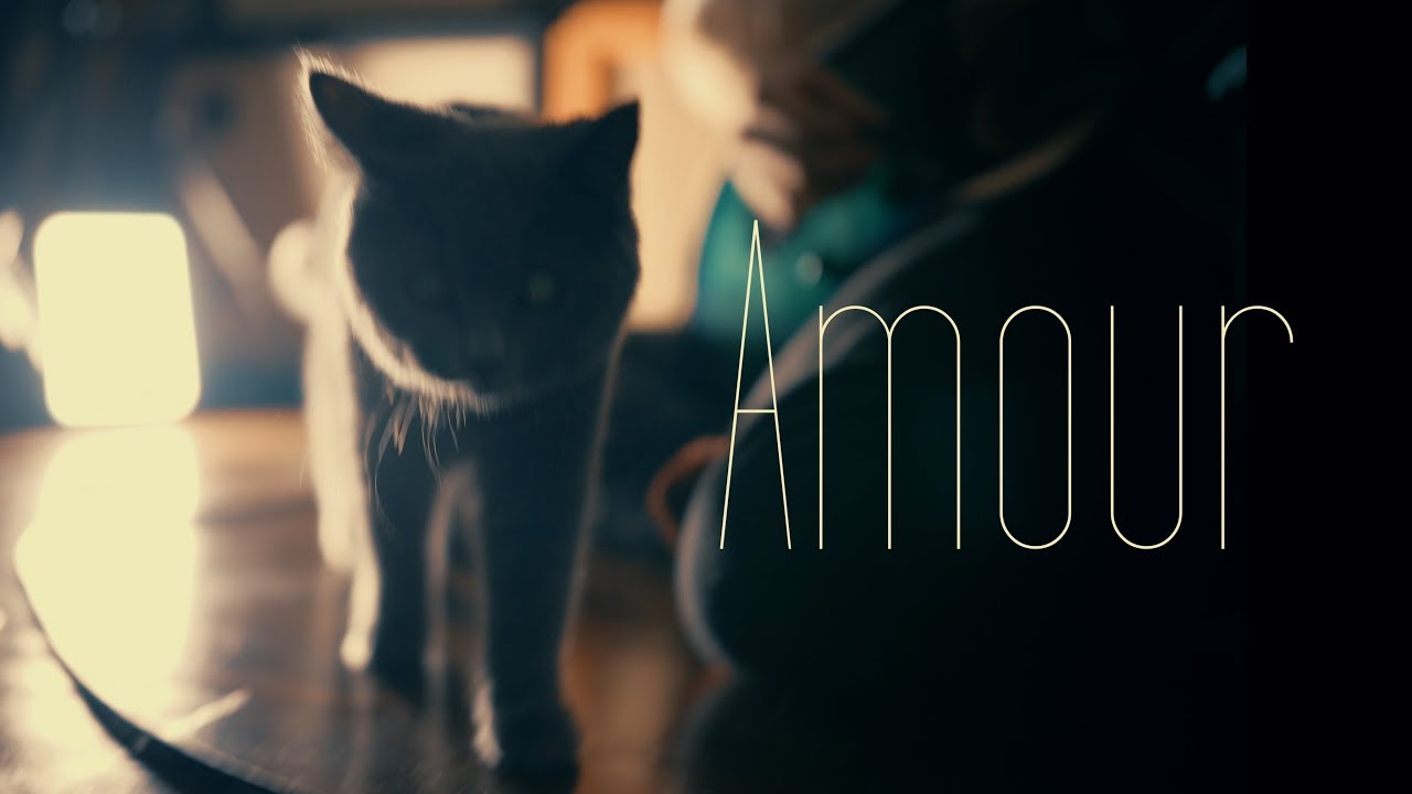 Pavel Dyshlevich & Dmitriy Neverovskiy - Amour (Polyphia guitar cover)