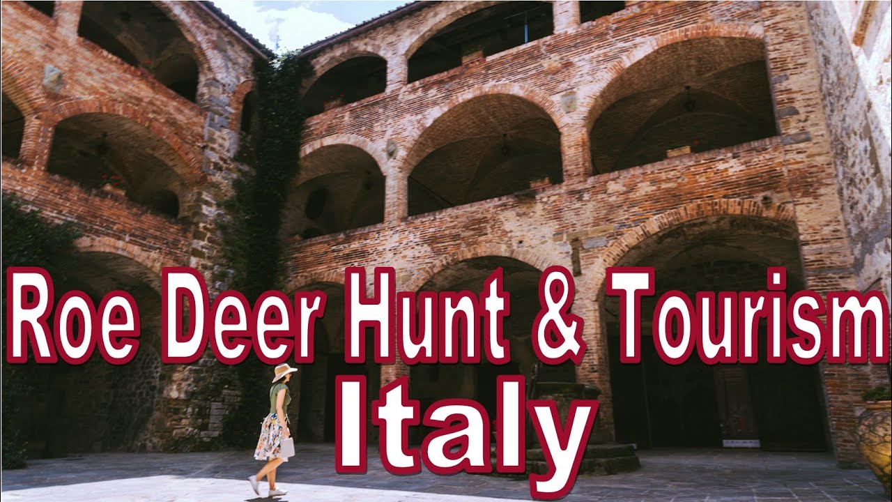 Deer Rome Roe Deer Hunting and Touring Florence & Rome - The Full Italian Classic ...