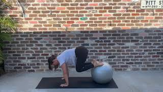 Plank Jack - Fitball
