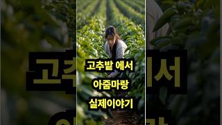 고추 밭에서 아줌마와 실제 이야기!#사연읽어주는여자 #사연오디오 #웃긴영상#shorts #사연 #썰 #사연라디오 #재미 #재미있는 #이야기 #웃긴동영상 #웃긴 #안샹 서욘 #유머 고추 밭에서 아줌마와 실제 이야기!#사연읽어주는여자 #사연오디오 #웃긴영상#shorts #사연 #썰 #사연라디오 #재미 #재미있는 #이야기 #웃긴동영상 #웃긴 #안샹 서욘 #유머