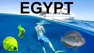 Scuba Diving In Egypt Red Sea