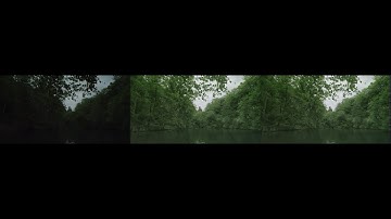 Low-light video enhancement using modified CycleGAN and wavelet-based temporal consistency