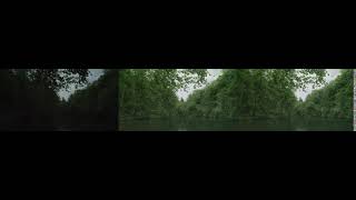 Low-light video enhancement using modified CycleGAN and wavelet-based temporal consistency