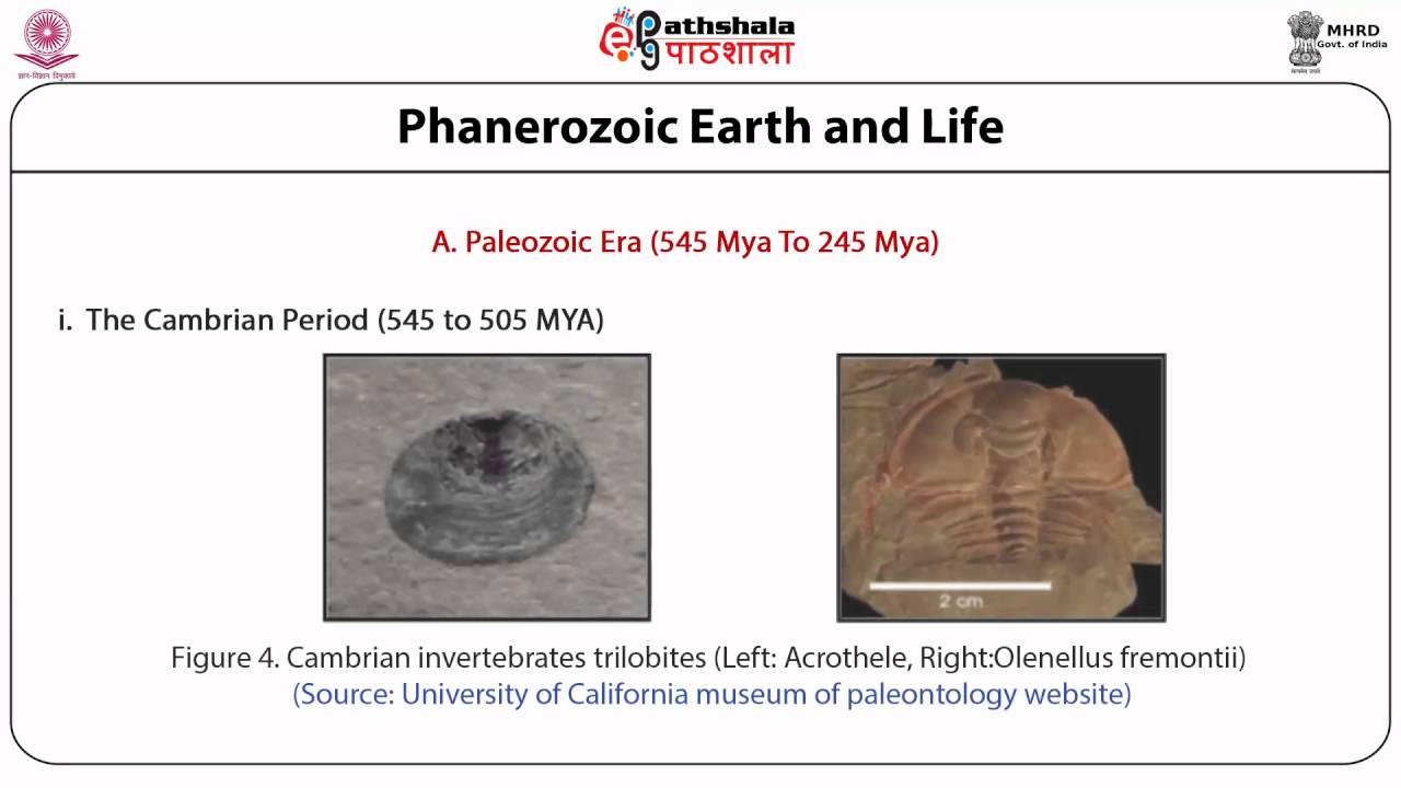 Geological time scale (ANT)