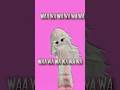 CRY FOR ME #roblox #robloxedit #naofloppa