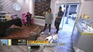 Posh pet hotel pampers dogs to max