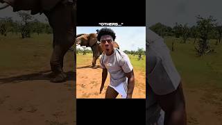 Others with Elephant Vs the THIS ONE 💀|#Editor_EzoT