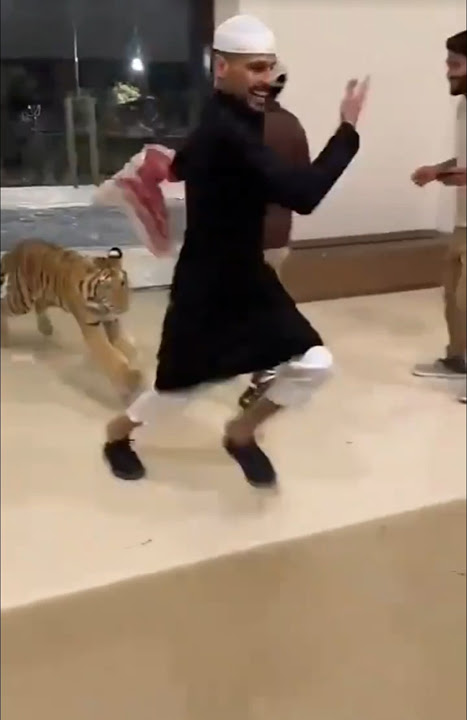 kocak pria arab ngerjain temannya dengan harimau peliharaanya#funny