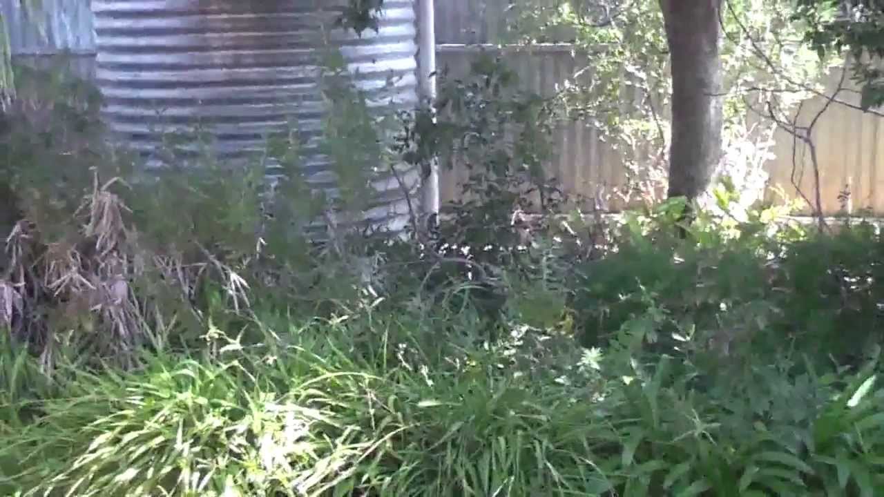 Panasonic HDC-TM10 TM 10 Full HD AVCHD