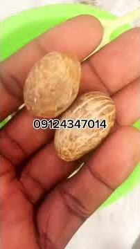 Hadin Angwaye masu Shirin Aure #mugyaramata