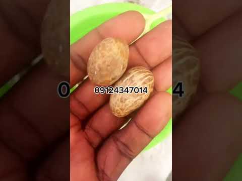 Hadin Angwaye Masu Shirin Aure Mugyaramata