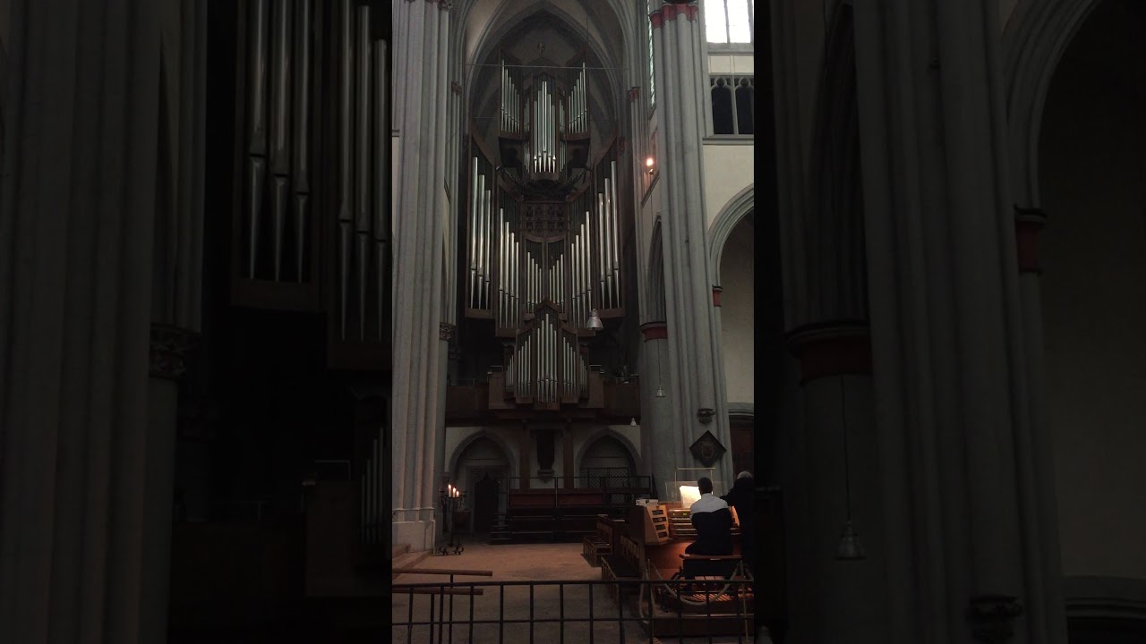Orgelprobe im Altenberger Dom