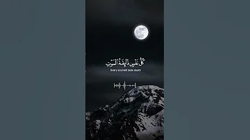 Surah Ankabut Ayat 56 Ya Ibadi Allazina Amanu Beautiful Quran Recitation Quran Videos 