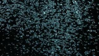 Celebrity Slow Motion Bubbles Floating to the Surface 2 Wealth