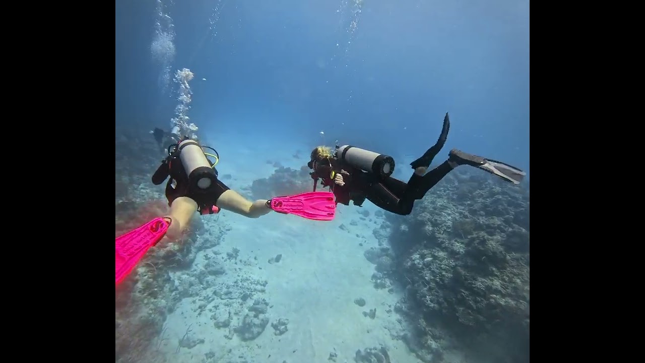 Tubbataha Reef Day 2 