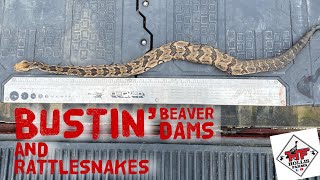 Bustin’ Beaver Dams & Rattlesnakes…