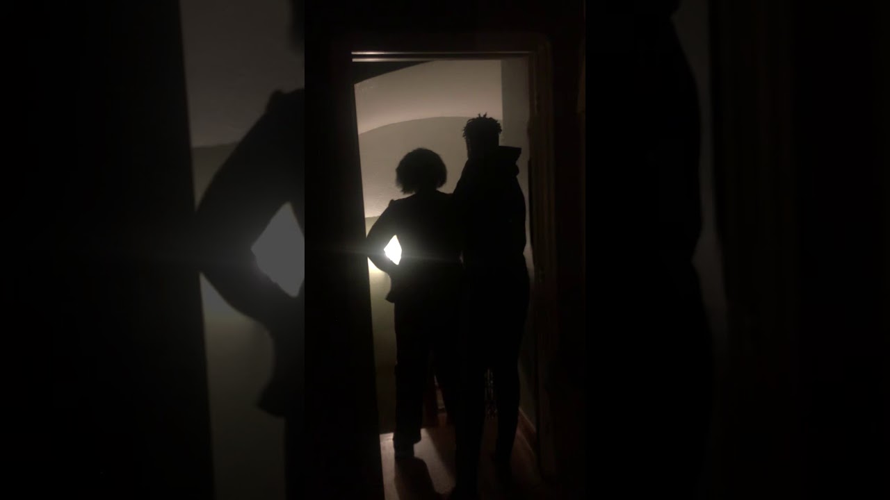 The stink bug - YouTube