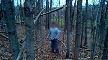 Bigfoot tree structure...part 2