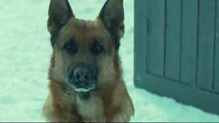 Sky Hunter English Subbed