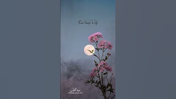 فَمَنِ اتَّبَعَ هُدَايَ فَلَا يَضِلُّ وَلَا يَشْقَى | تلاوات خاشعة | سورة طه | روائع التلاوات